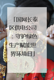 国网长泰区供电公司：守护绿色生产赋能世界环境日