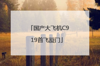 国产大飞机C919首飞厦门
