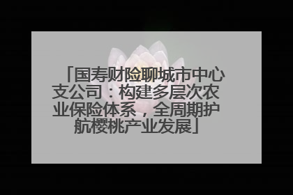 国寿财险聊城市中心支公司：构建多层次农业保险体系，全周期护航樱桃产业发展