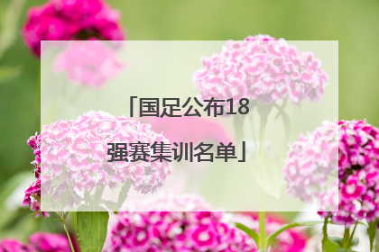 国足公布18强赛集训名单