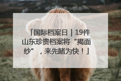 国际档案日｜19件山东珍贵档案将“揭面纱”，来先睹为快！