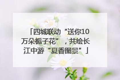 四城联动“送你10万朵栀子花”，共绘长江中游“夏香图景”