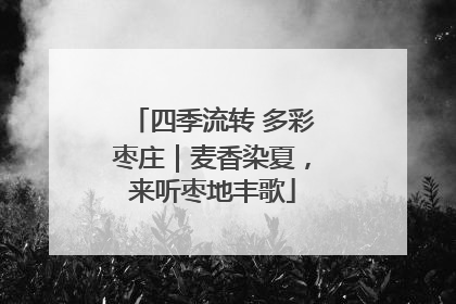 四季流转 多彩枣庄｜麦香染夏，来听枣地丰歌