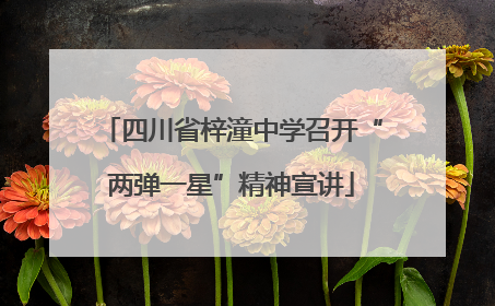 四川省梓潼中学召开“两弹一星”精神宣讲