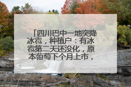 四川巴中一地突降冰雹，种植户：有冰雹第二天还没化，原本葡萄下个月上市，现在全被打落