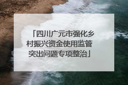 四川广元市强化乡村振兴资金使用监管突出问题专项整治