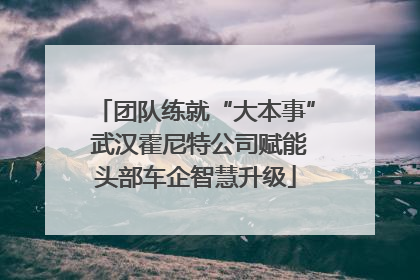 团队练就“大本事” 武汉霍尼特公司赋能头部车企智慧升级