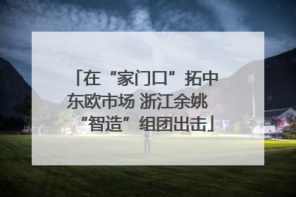 在“家门口”拓中东欧市场 浙江余姚“智造”组团出击