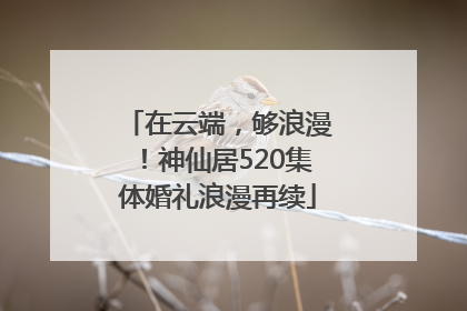 在云端，够浪漫！神仙居520集体婚礼浪漫再续