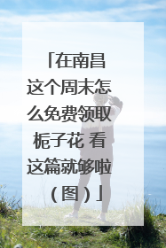 在南昌 这个周末怎么免费领取栀子花 看这篇就够啦（图）