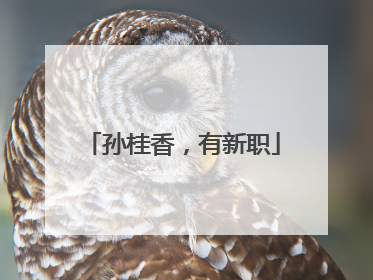 孙桂香，有新职