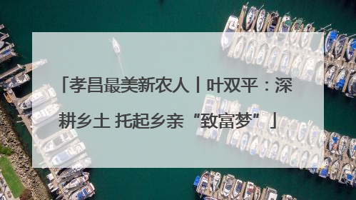 孝昌最美新农人丨叶双平：深耕乡土 托起乡亲“致富梦”