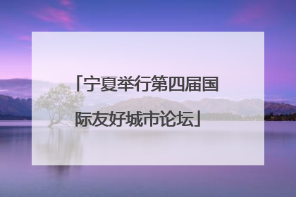 宁夏举行第四届国际友好城市论坛