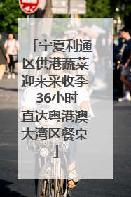 宁夏利通区供港蔬菜迎来采收季 36小时直达粤港澳大湾区餐桌