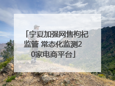 宁夏加强网售枸杞监管 常态化监测20家电商平台