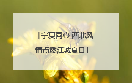 宁夏同心 西北风情点燃江城夏日