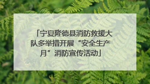 宁夏隆德县消防救援大队多举措开展“安全生产月”消防宣传活动