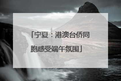 宁夏：港澳台侨同胞感受端午氛围