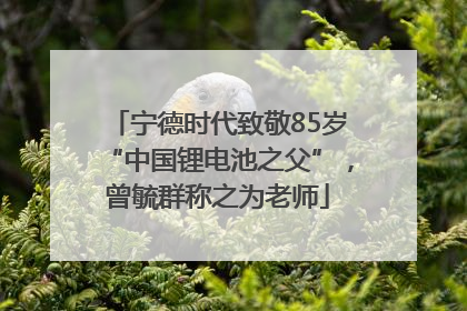 宁德时代致敬85岁“中国锂电池之父”，曾毓群称之为老师