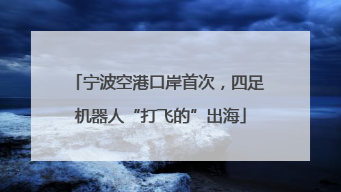 宁波空港口岸首次，四足机器人“打飞的”出海