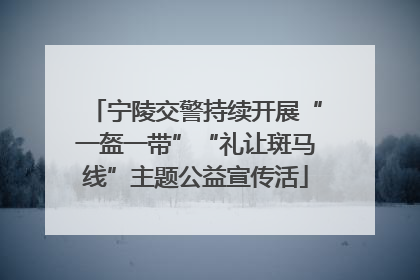 宁陵交警持续开展“一盔一带”“礼让斑马线”主题公益宣传活