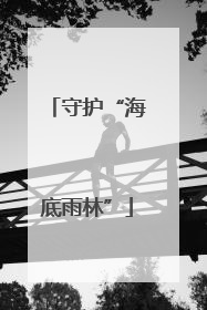 守护“海底雨林”