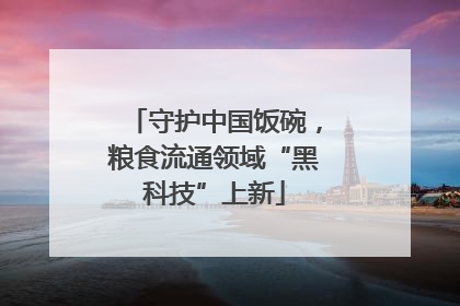 守护中国饭碗，粮食流通领域“黑科技”上新