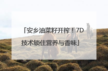 安乡油菜籽开榨！7D技术锁住营养与香味
