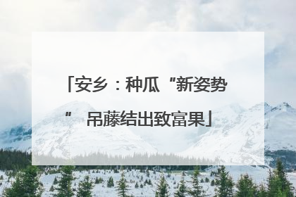 安乡：种瓜“新姿势” 吊藤结出致富果