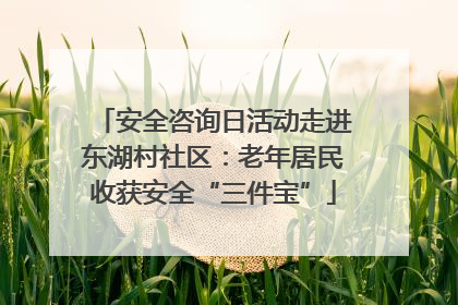 安全咨询日活动走进东湖村社区：老年居民收获安全“三件宝”