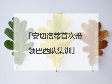 安切洛蒂首次带领巴西队集训