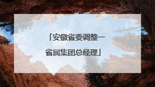 安徽省委调整一省属集团总经理