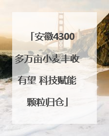 安徽4300多万亩小麦丰收有望 科技赋能颗粒归仓