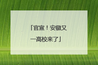 官宣！安徽又一高校来了