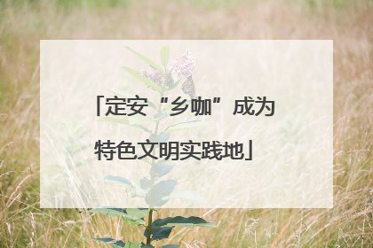 定安“乡咖”成为特色文明实践地