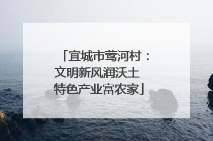 宜城市莺河村：文明新风润沃土 特色产业富农家