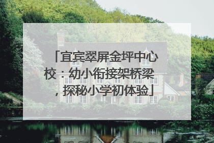 宜宾翠屏金坪中心校：幼小衔接架桥梁，探秘小学初体验