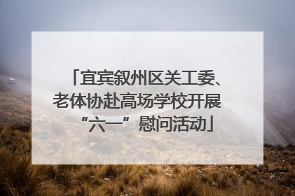 宜宾叙州区关工委、老体协赴高场学校开展“六一”慰问活动