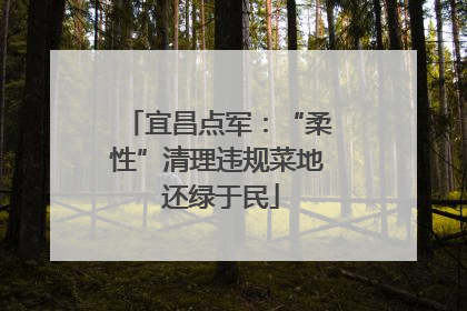 宜昌点军：“柔性”清理违规菜地 还绿于民