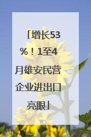 增长53%！1至4月雄安民营企业进出口亮眼