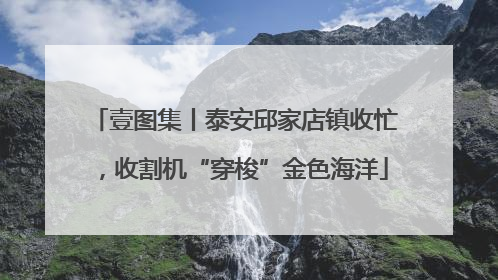壹图集丨泰安邱家店镇收忙，收割机“穿梭”金色海洋