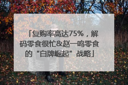 复购率高达75%，解码零食很忙&赵一鸣零食的“白牌崛起”战略