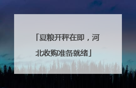 夏粮开秤在即，河北收购准备就绪