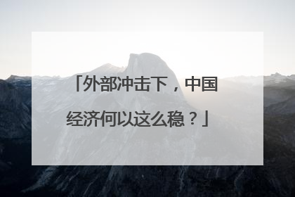 外部冲击下，中国经济何以这么稳？