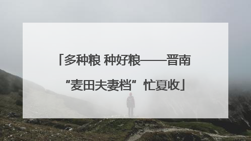 多种粮 种好粮——晋南“麦田夫妻档”忙夏收