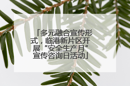 多元融合宣传形式，临港新片区开展“安全生产月”宣传咨询日活动