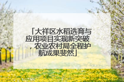 大祥区水稻选育与应用项目实现新突破，农业农村局全程护航成果斐然