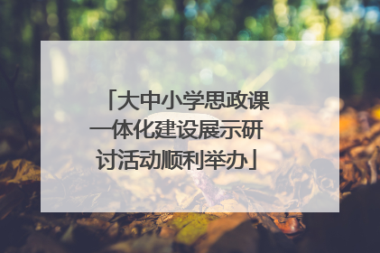 大中小学思政课一体化建设展示研讨活动顺利举办