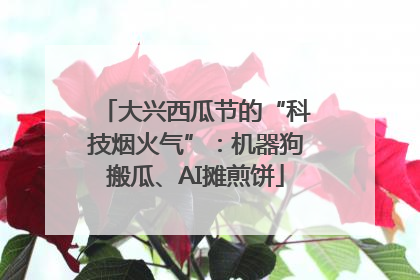 大兴西瓜节的“科技烟火气”：机器狗搬瓜、AI摊煎饼