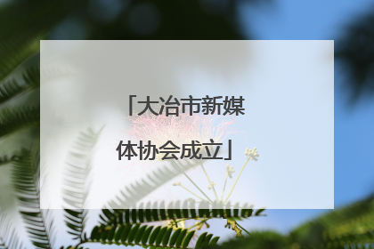 大冶市新媒体协会成立
